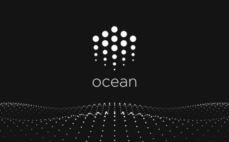  Ocean Protocol – Wie Blockchain die Datenwirtschaft revolutioniert