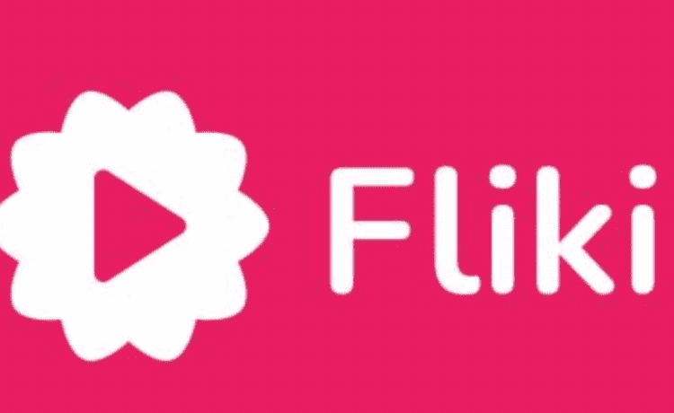  Fliki: Automatisches Erstellen von Handyvideos wie Reels oder TikToks
